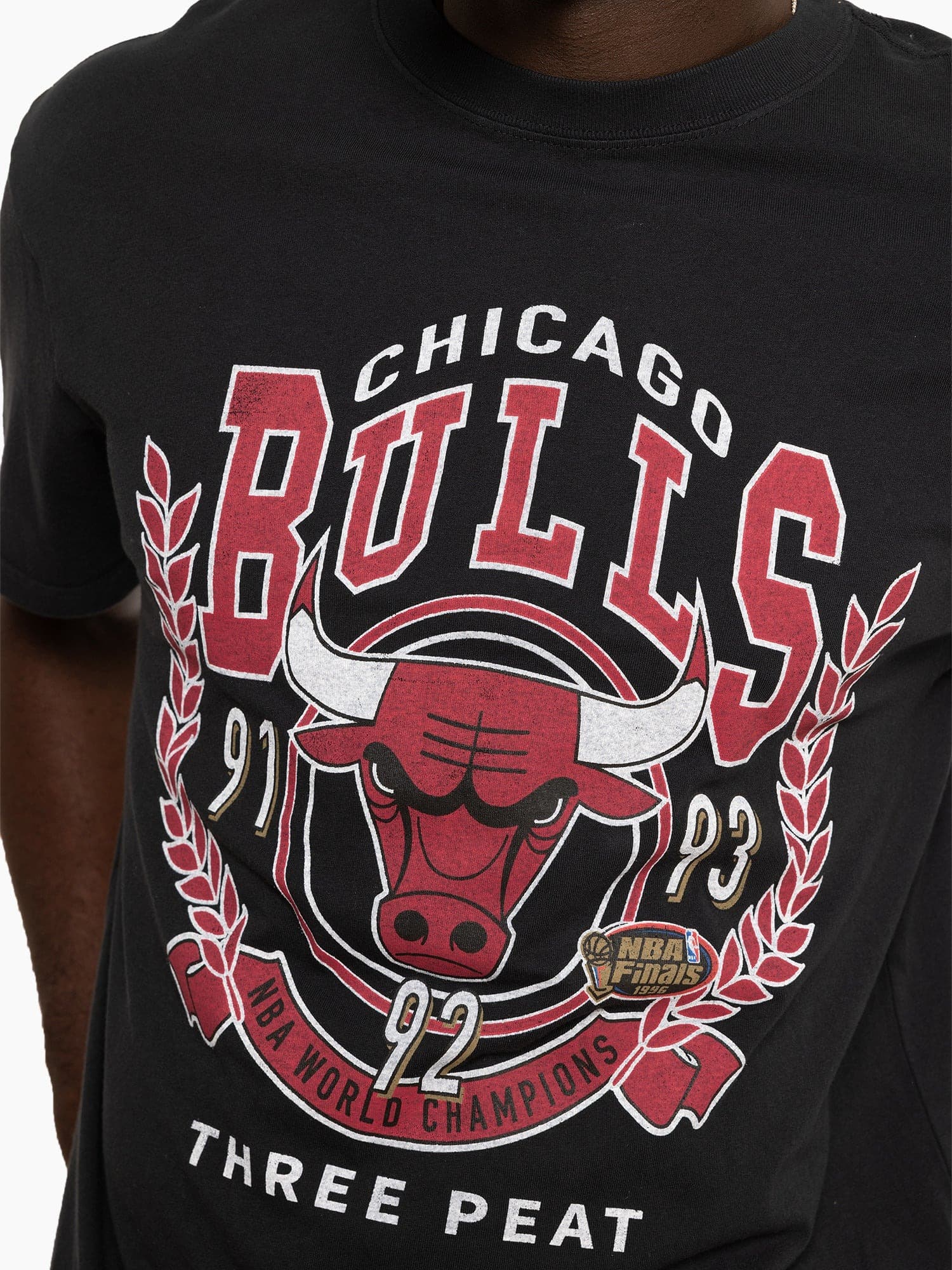 Футболка Mitchell & Ness Chicago Bulls Vintage Arch T-Shirt