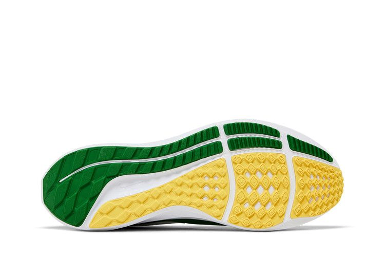 Кроссовки Nike Air Zoom Pegasus 39 'Oregon'