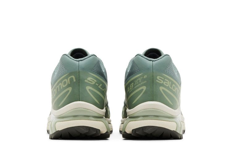 Кроссовки Salomon XT-6 'Laurel Wreath'