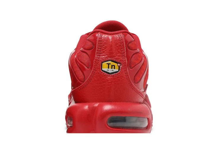 Кроссовки Nike Air Max Plus 'University Red'