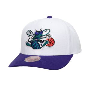 Mitchell-Ness-Team-2-Tone-2.0-Pro-Snapback-HWC-Charlotte-Hornets-Hat-300x300