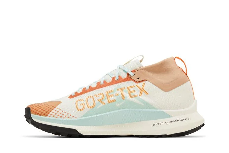 Кроссовки React Pegasus Trail 4 GORE-TEX 'Have a Nike Day'