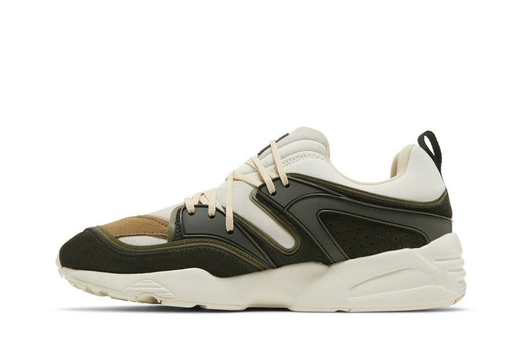 Кроссовки Sneakersnstuff x Puma Blaze of Glory 'Winter Moss'