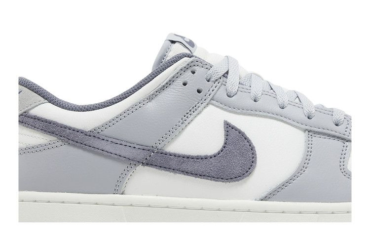 dunk-low-se-light-carbon-fj4188-100_01