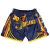 Ehot-Warriors-Curry-Blue-Shorts-100x100