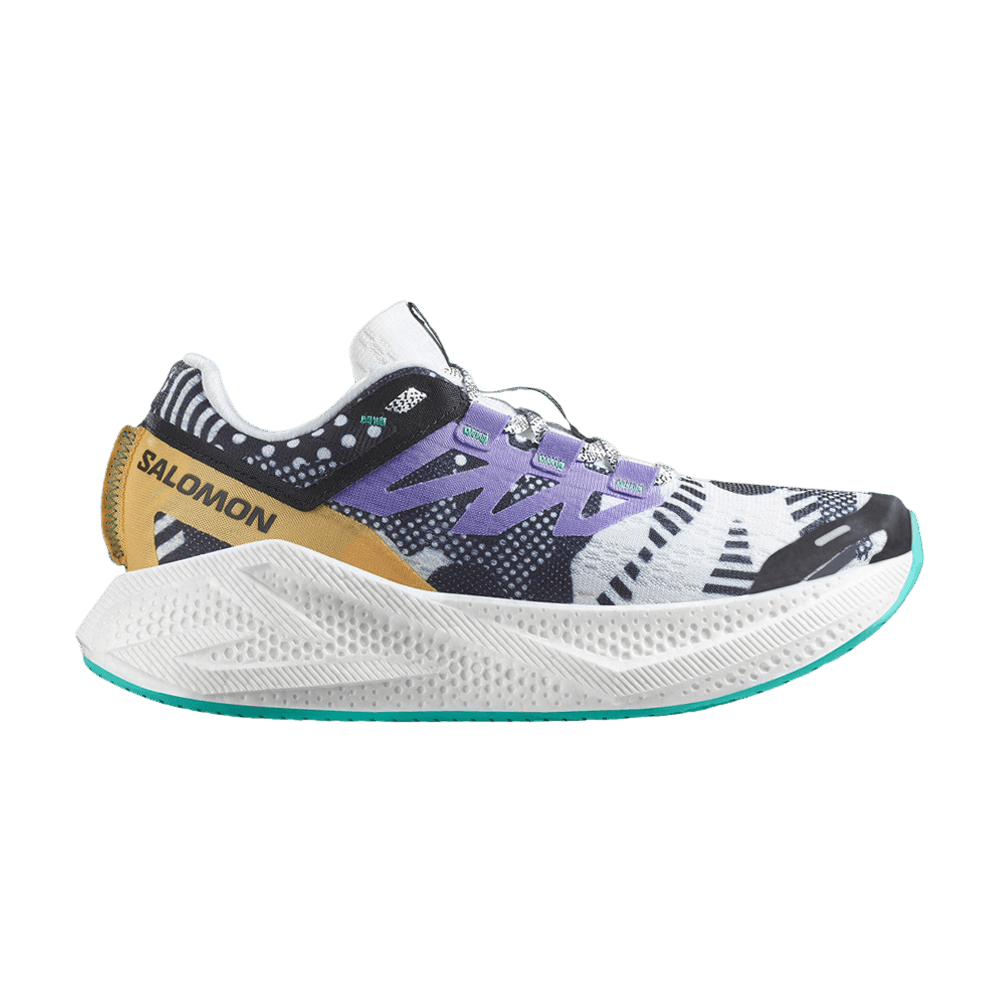 Кроссовки Salomon Wmns Aero Glide 3 'Proto Pack'
