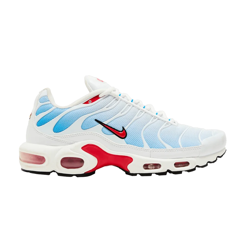 Кроссовки Nike Air Max Plus 'Tide' 2022