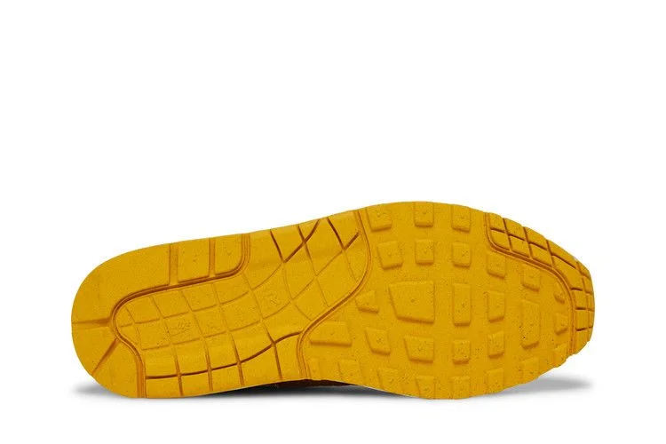 Krossovki-Nike-Air-Max-1-Premium-Ugly-Duckling-Pecan-3
