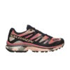 Salomon-XT-4-OG-Aurora-Borealis-Pack-Prairie-Sunset-100x100