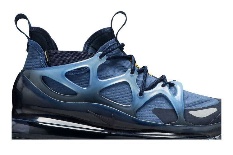 Кроссовки Nike Air Max 720 Horizon Gore-Tex 'Blue'