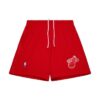 Miami-Heat-2012-Christmas-Day-HWC-NBA-Swingman-Shorts-1-100x100