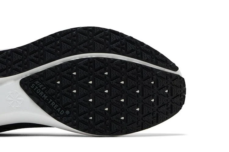 Krossovki-Nike-Air-Zoom-Pegasus-41-GORE-TEX-Iron-Grey-Summit-White-4