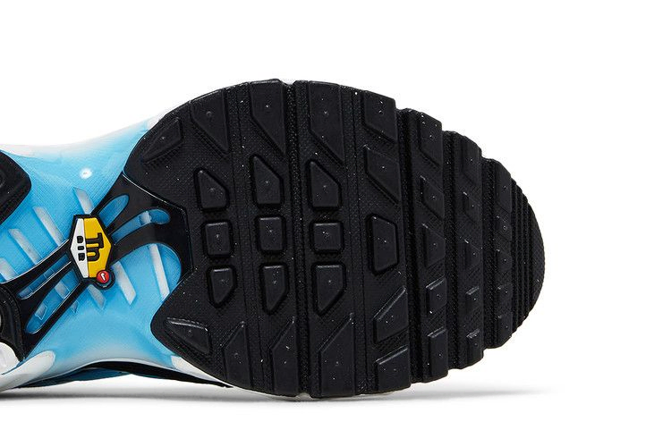 Кроссовки Nike Air Max Plus GS 'Ice'