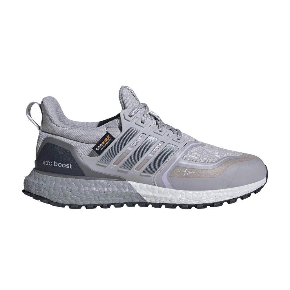 Кроссовки adidas Wmns Ultraboost 1.0 ATR 'Glory Grey/Dash Grey/Powder Plum'
