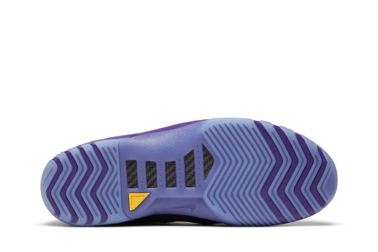 Кроссовки Nike Air Zoom Generation Retro 'Court Purple'