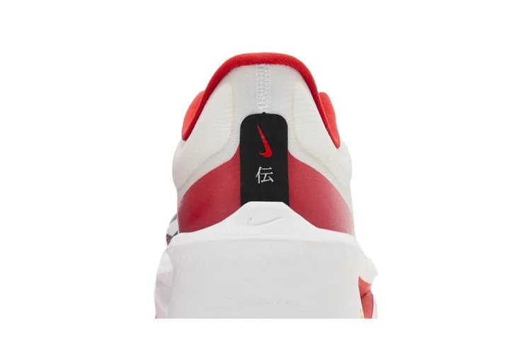 Krossovki-Nike-Zoom-Fly-6-Ekiden-Pack-6
