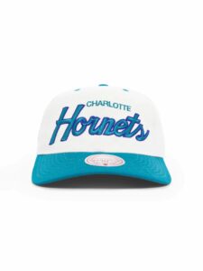 Mitchell-Ness-Charlotte-Hornets-Team-Script-Golfer-NBA-Snapback-Hat-1-225x300
