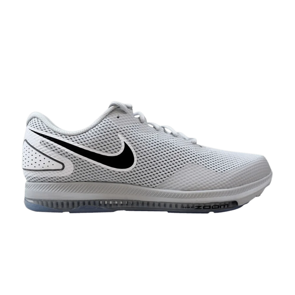 Krossovki-Nike-Zoom-All-Out-Low-2-Pure-Platinum