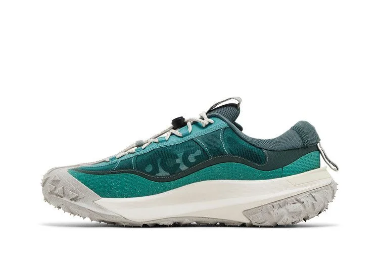 Кроссовки Nike ACG Mountain Fly Low 2 'Bicoastal'