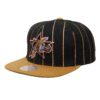 Mitchell-Ness-Team-Pin-Snapback-HWC-Philadelphia-76ers-100x100