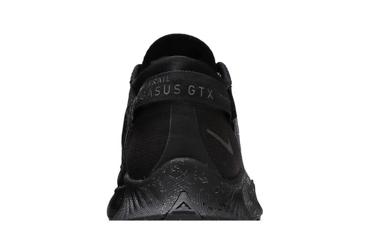 Кроссовки Nike Wmns Pegasus Trail 2 Gore-Tex 'Black Metallic Dark Grey'