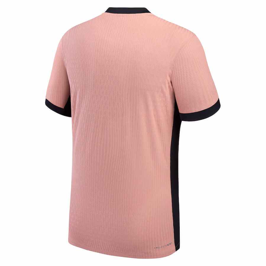 Футбольное джерси PSG Jordan Third Dri-FIT ADV Match Shirt 2024-25