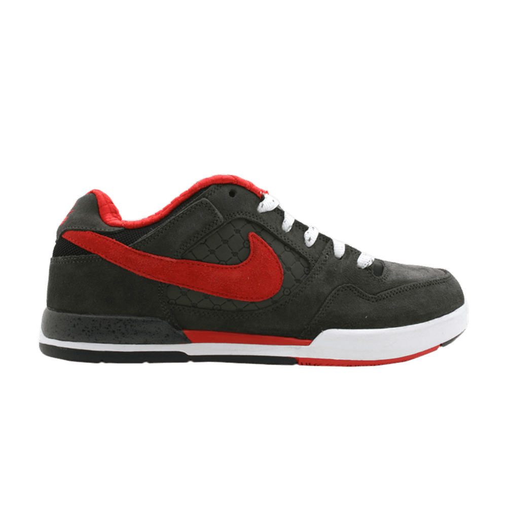 paul-rodriguez-2-zoom-air-315459-062