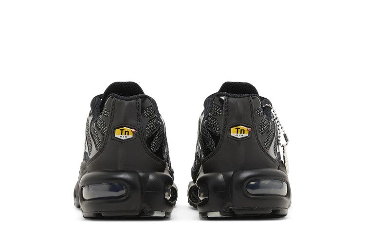 Кроссовки Nike Wmns Air Max Plus 'Black Metallic Silver'