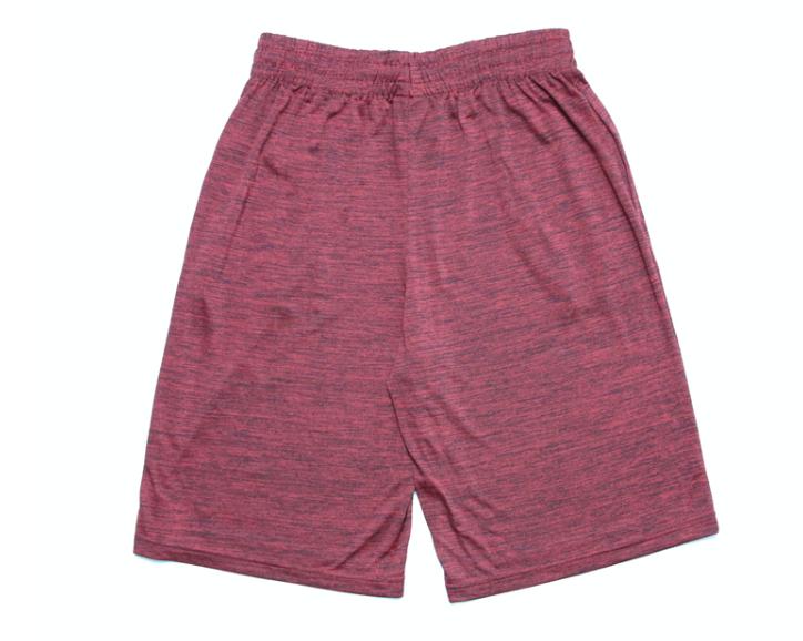 Баскетбольные шорты 2018 NBA Training Shorts Red