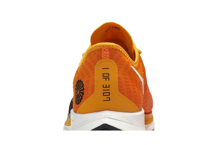 zoom-pegasus-turbo-2-blue-ribbon-sports-ck9661-800_06