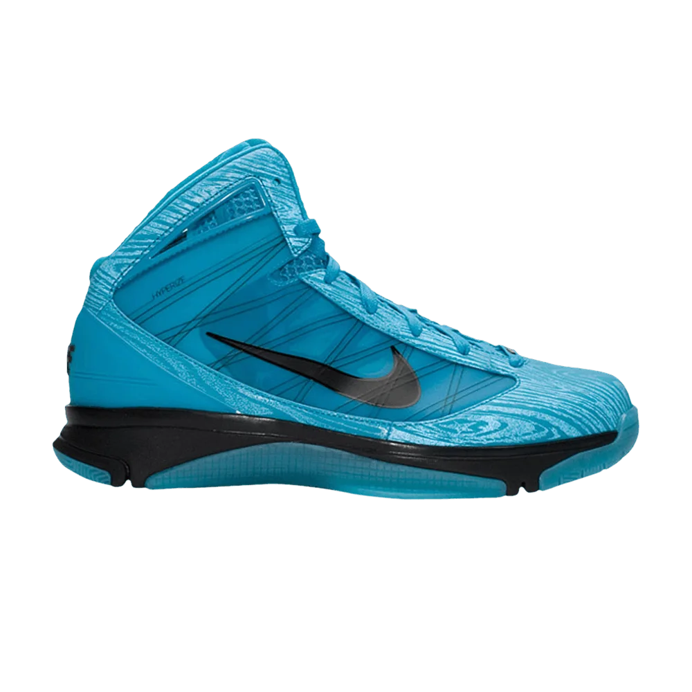 Krossovki-Nike-Hyperize-2010-All-Star-East-Coast