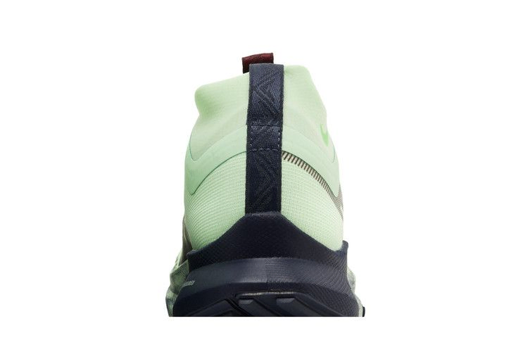 Кроссовки Nike Wmns React Pegasus Trail 4 GORE-TEX 'Vapor Green Dark Thunder Blue'