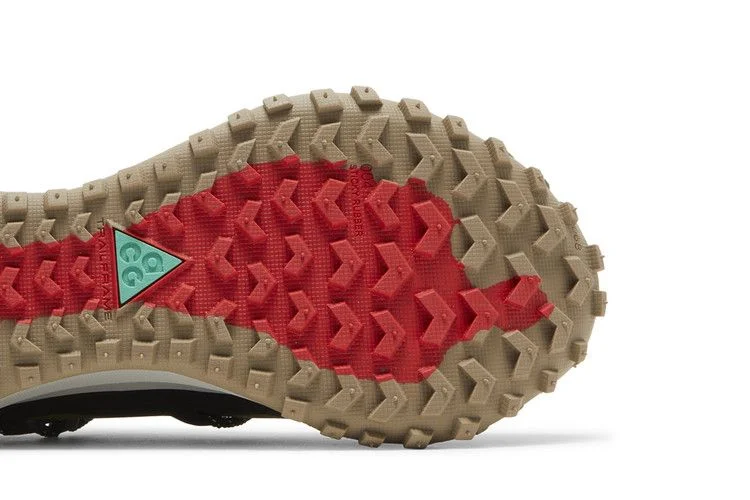 Кроссовки Nike ACG Mountain Fly Low SE 'Pilgrim'