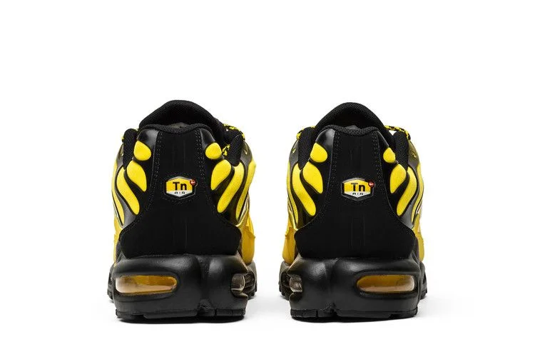 Кроссовки Nike Air Max Plus 'Frequency Pack'