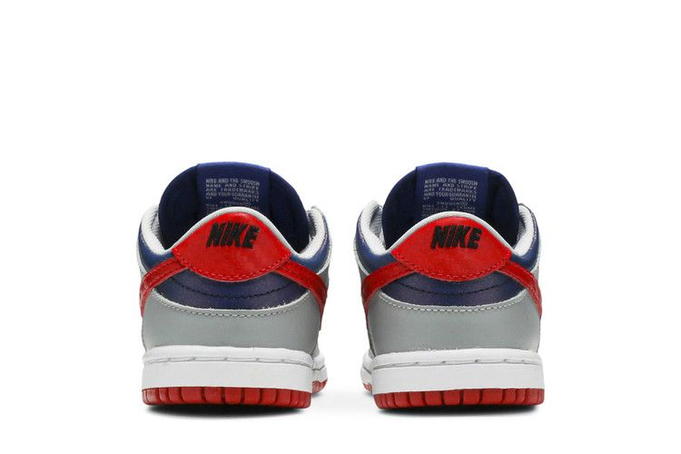 dunk-low-retro-td-samba-2020-db4605-400_05