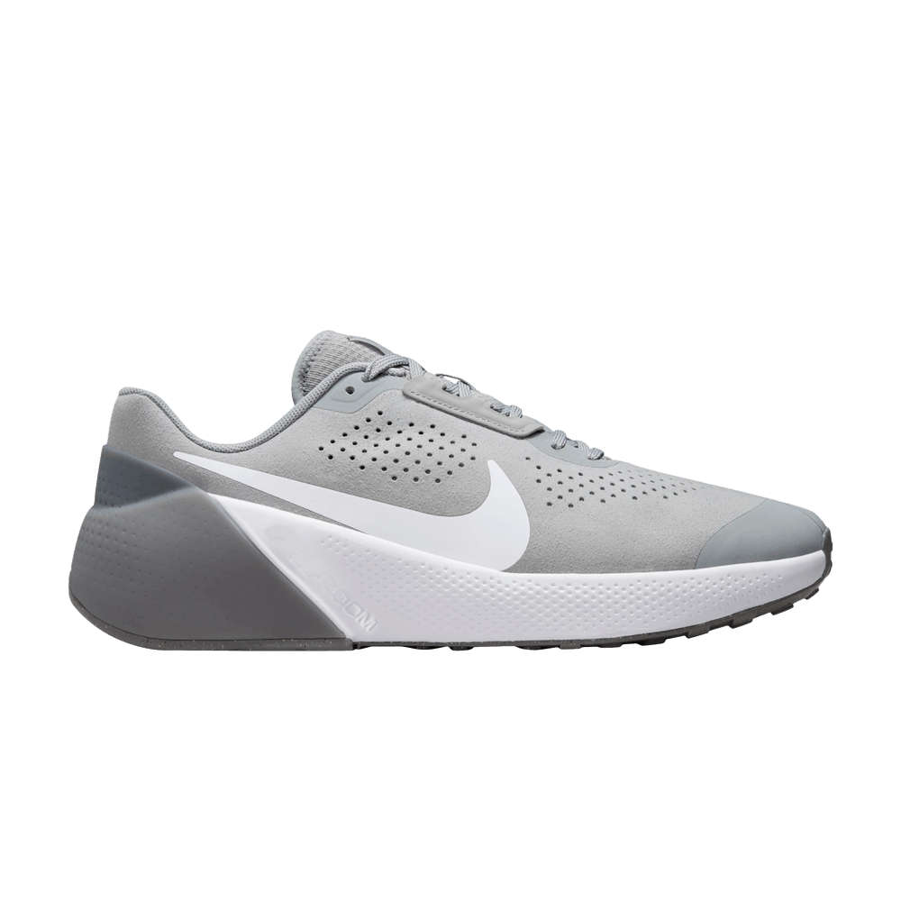 Кроссовки Nike Air Zoom TR1 'Light Smoke Grey'