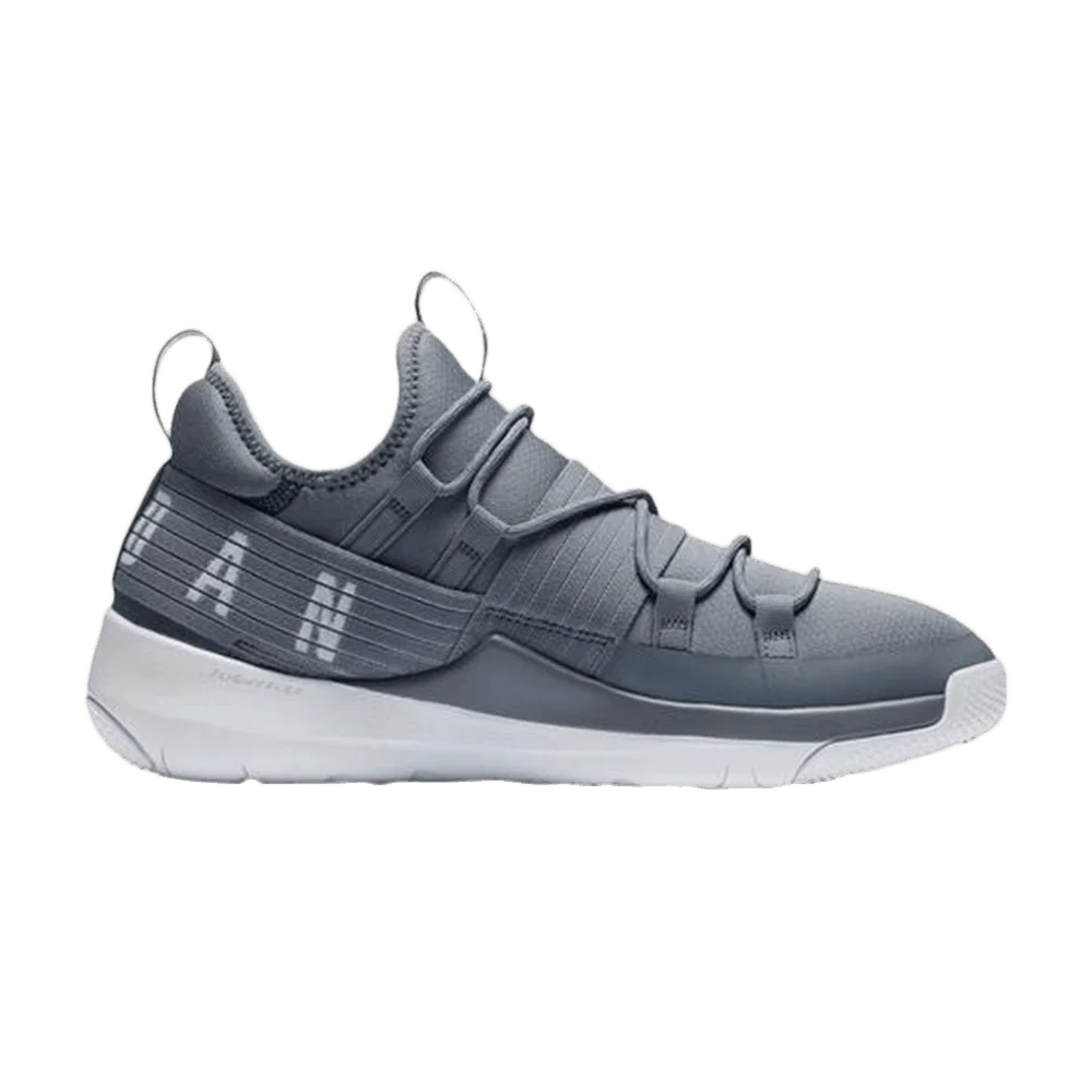 Krossovki-Air-Jordan-Trainer-Pro-Cool-Grey