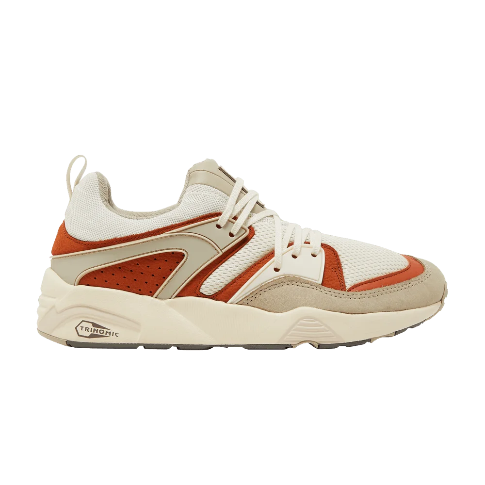 Krossovki-Puma-Blaze-Of-Glory-Vaporous-Grey-Warm-Chestnut
