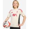 Liverpool-FC-adidas-Youth-25-26-Domestic-Short-Sleeve-Training-Top-White-100x100