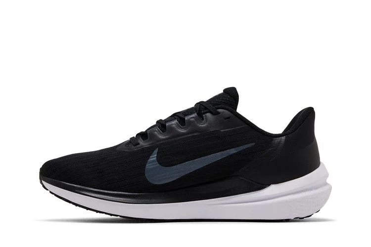 Кроссовки Nike Air Winflo 9 'Black Dark Smoke Grey'