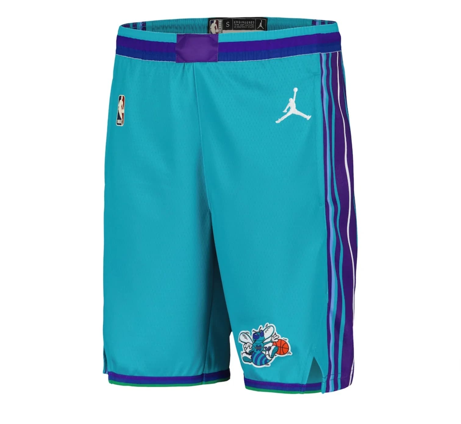 Спортивные шорты Nike Charlotte Hornets 2024 Classic Edition Swingman Youth NBA Shorts