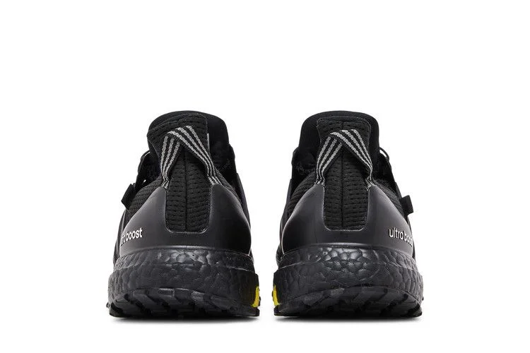Кроссовки Adidas UltraBoost 1.0 GORE-TEX 'Underground'