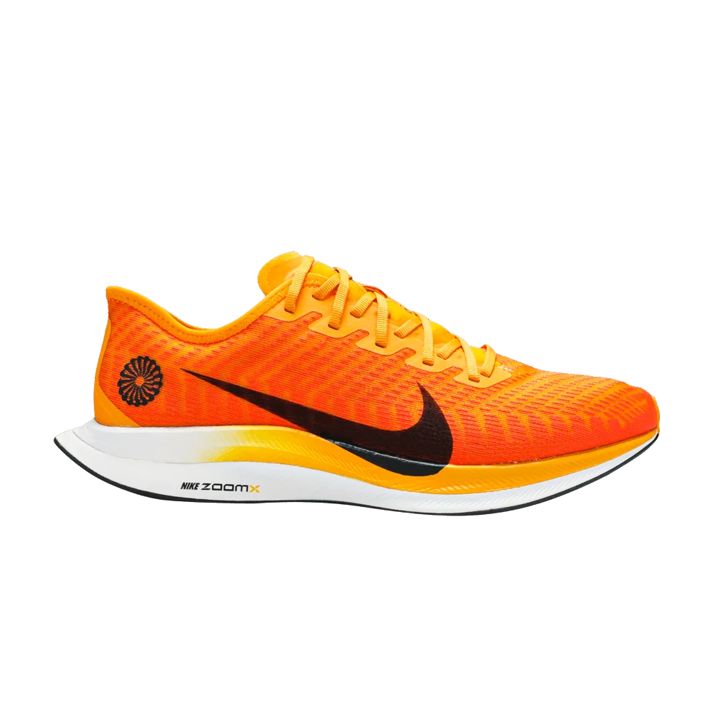 Krossovki-Nike-Zoom-Pegasus-Turbo-2-Blue-Ribbon-Sports