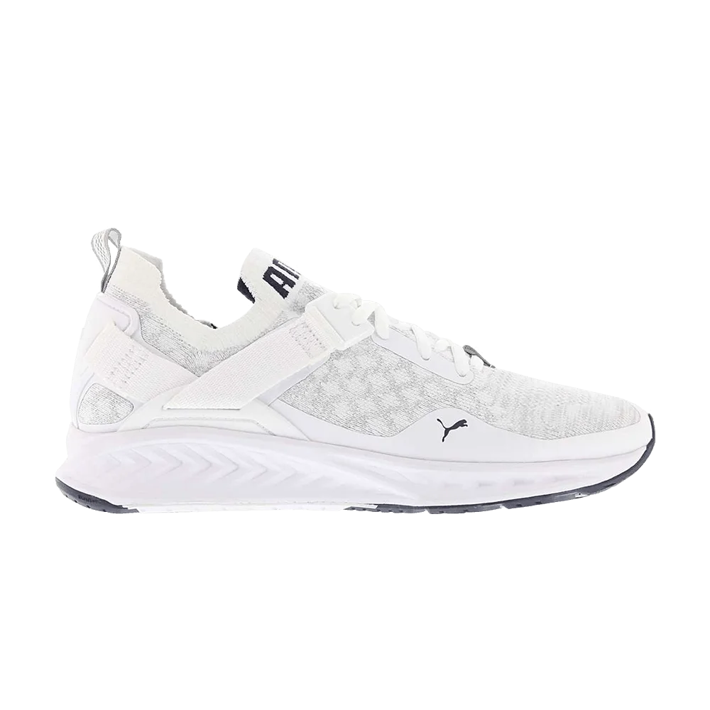 Кроссовки Puma Ignite Evoknit Lo 'White'