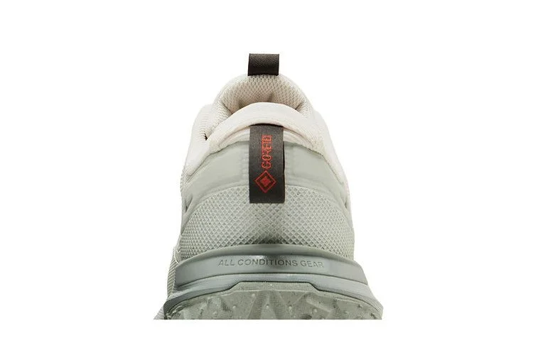 Кроссовки Nike ACG Mountain Fly 2 Low GORE-TEX 'Phantom Light Silver'