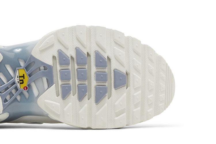 Кроссовки Nike Wmns Air Max Plus 'Ashen Slate'
