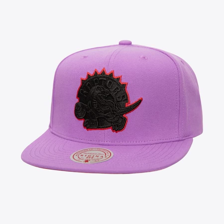 Бейсболка Mitchell & Ness Purple Toronto Raptors Hardwood Classics Logo Eclipse OG Snapback Hat