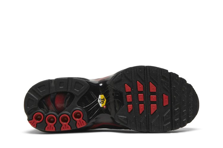 Кроссовки Nike Air Max Plus GS 'Bred Gradient'