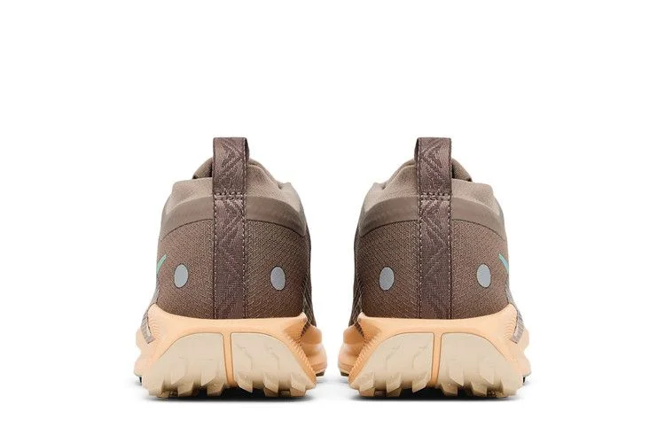 Кроссовки Nike Wmns Pegasus Trail 5 GORE-TEX 'Mink Brown Orange Chalk'