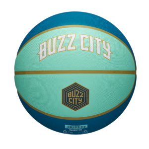 Wilson-Charlotte-Hornets-2024-City-Edition-NBA-Basketball-300x300